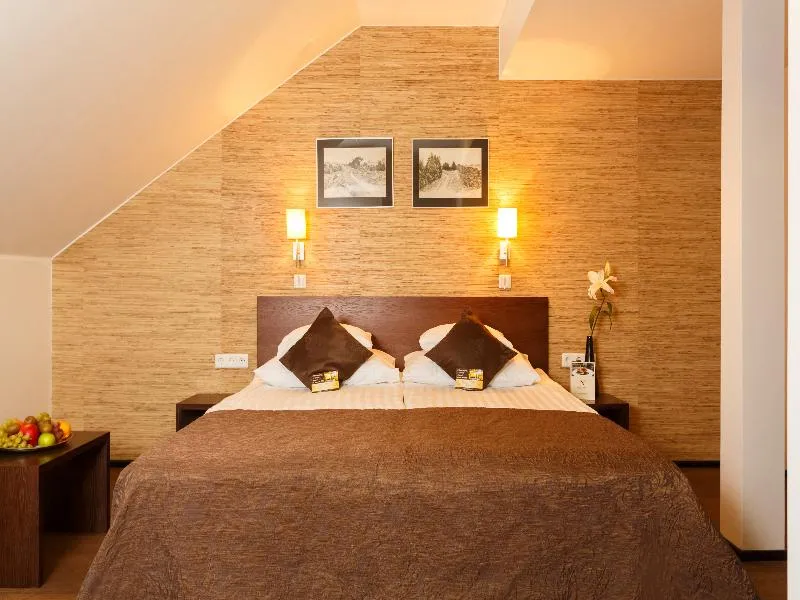 DOUBLE SINGLE USE STANDARD Room, Kreutzwald Hotel Tallinn, Tallinn