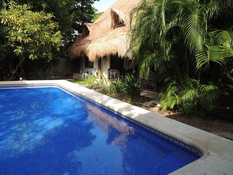 Pool, Casaejido, Playa Del Carmen