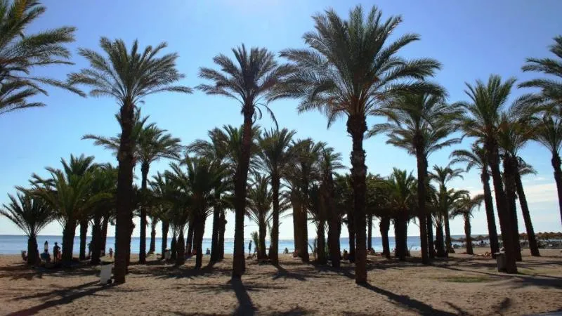 Beach, El Pozo, Costa Del Sol