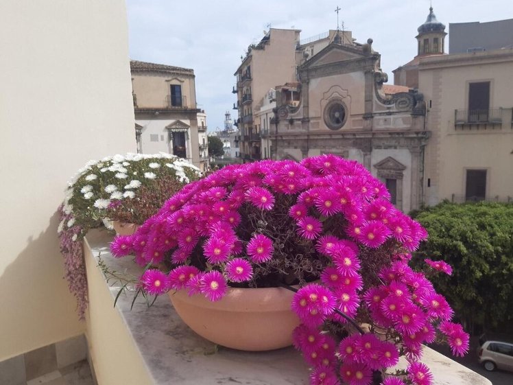 B B Cala Peppa, Palermo