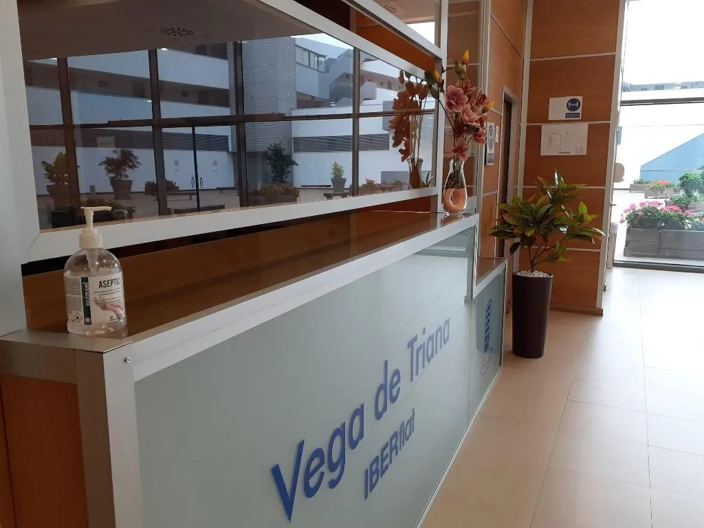 Lobby, Iberflat Vega De Triana, Seville