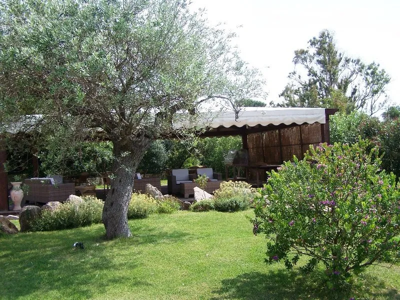Terrace, Ragno d'Oro, Olbia