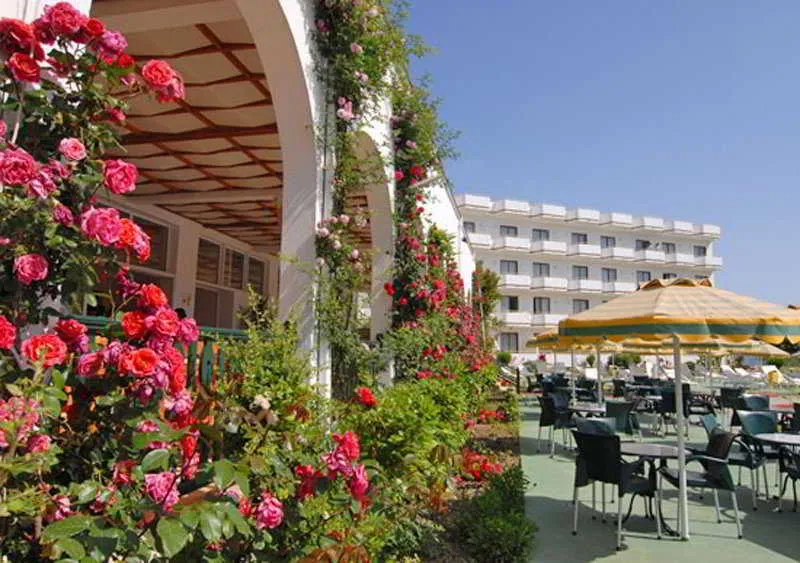 Terrace, Irene Palace Beach Resort, Rhodes