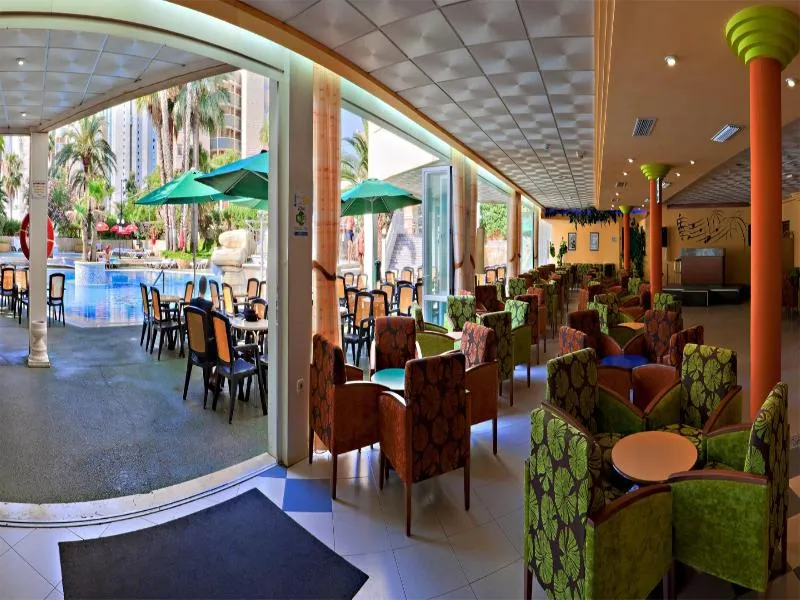 Bar, Alone, Costa Blanca