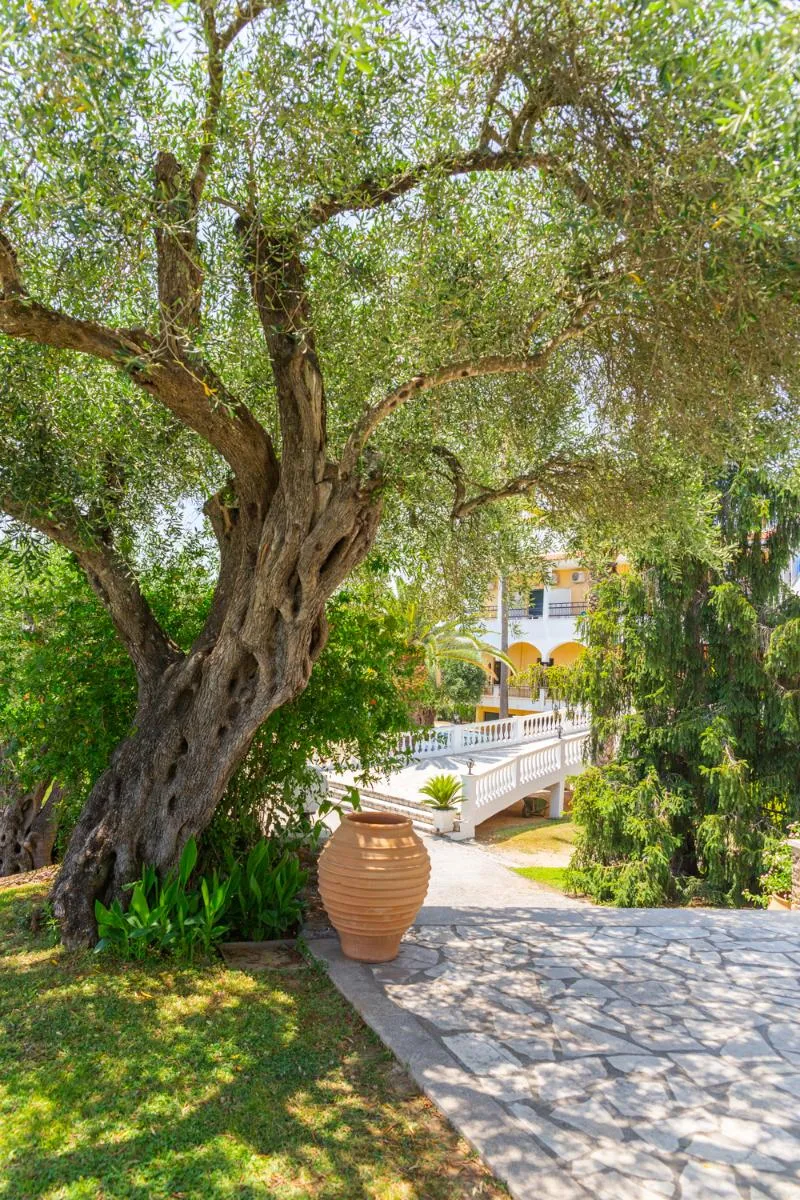 Terrace, Paradise Hotel Corfu, Corfu
