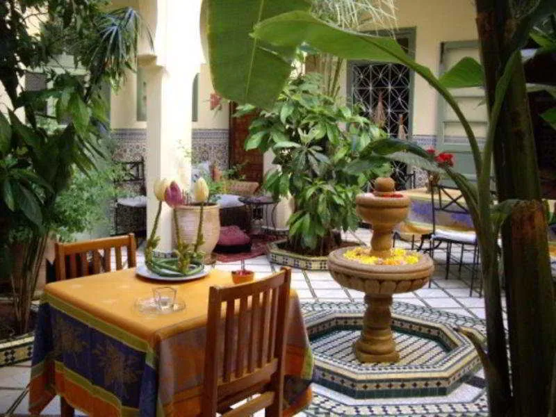 General view, Riad Dar Limoun Amara, Marrakech