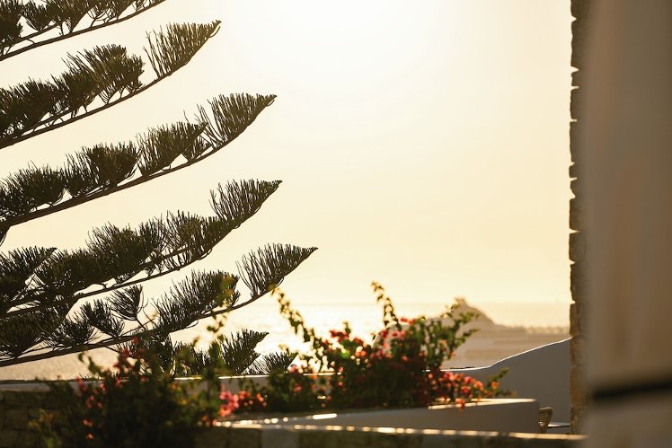 Arocaria, Mykonos