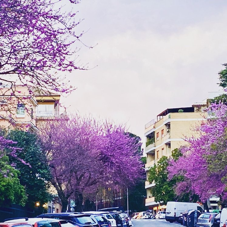 Roma Trastevere Relais Guest House, Rome