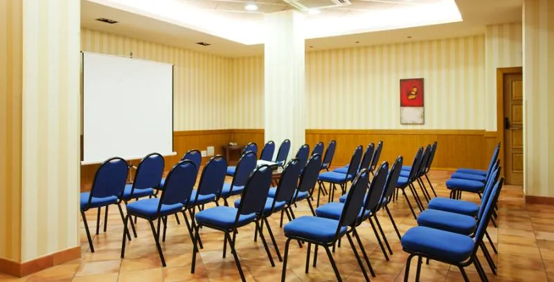 Conferences, Sercotel Toledo Renacimiento, Madrid