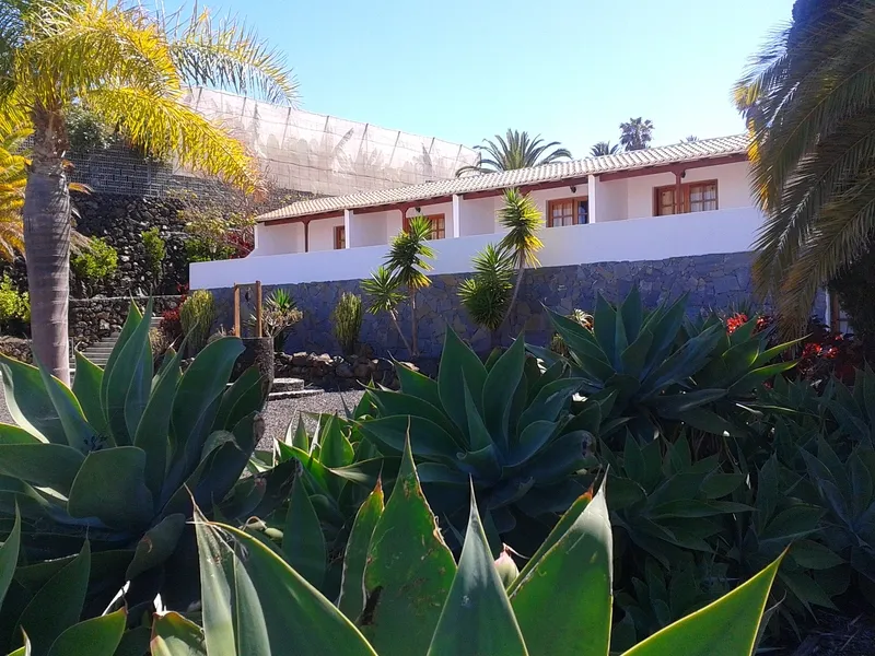 Room, Los Castellanos, La Palma
