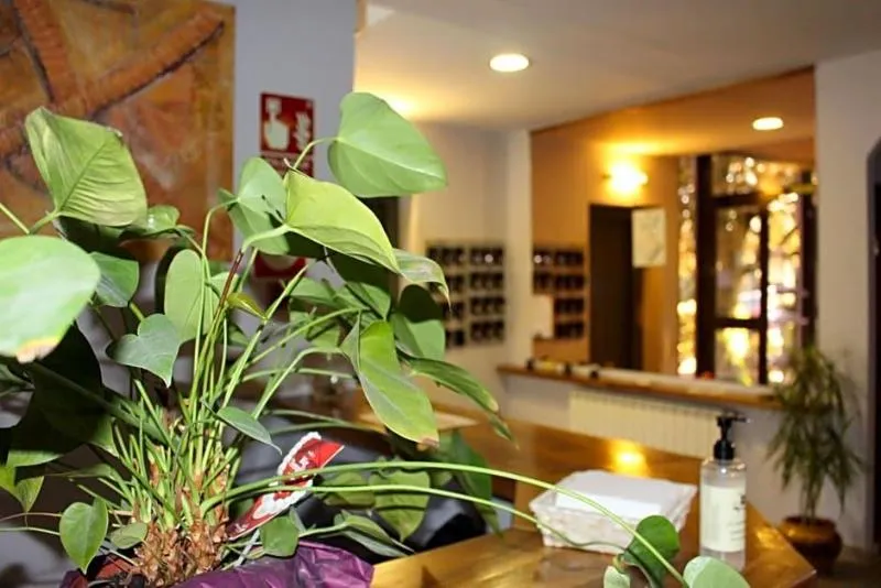 Lobby, Hotel Seva, Barcelona