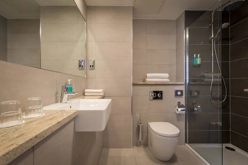 DOUBLE STANDARD Room, The Belvedere, Dublin