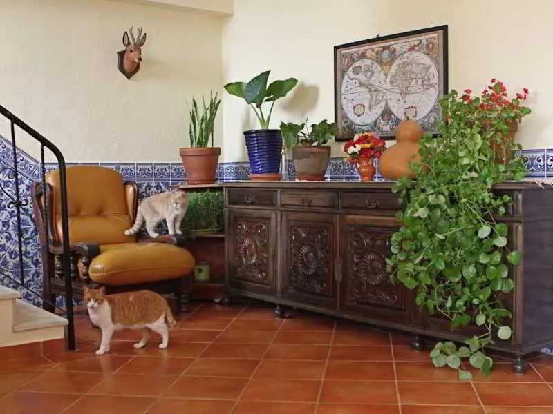 General view, Vila Graciosa  guesthouse, Algarve