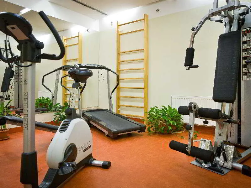 Sports and Entertainment, Mamaison Residence Belgicka Prague, Prague