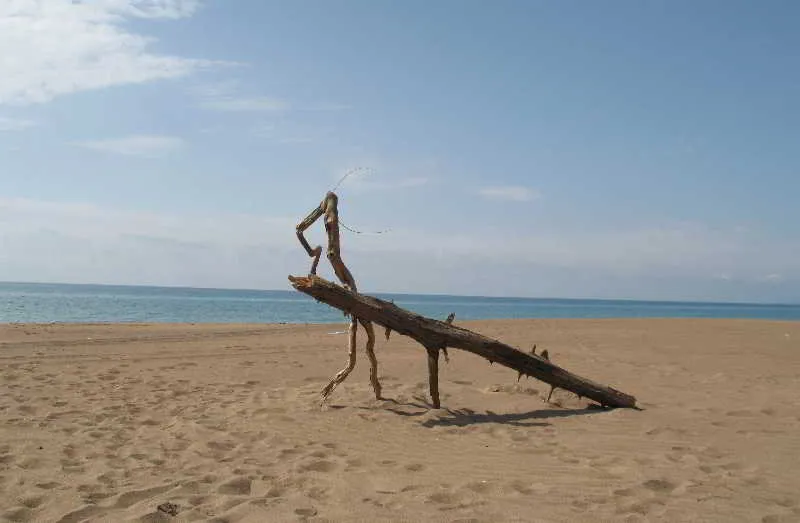 Beach, Athina, Kalamata
