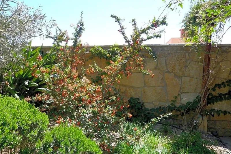 Lobby, Rural San Miguel, Tenerife