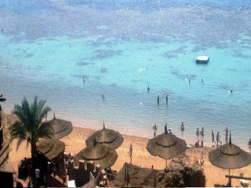 Beach, Viva Sharm Hotel, Red Sea Riviera