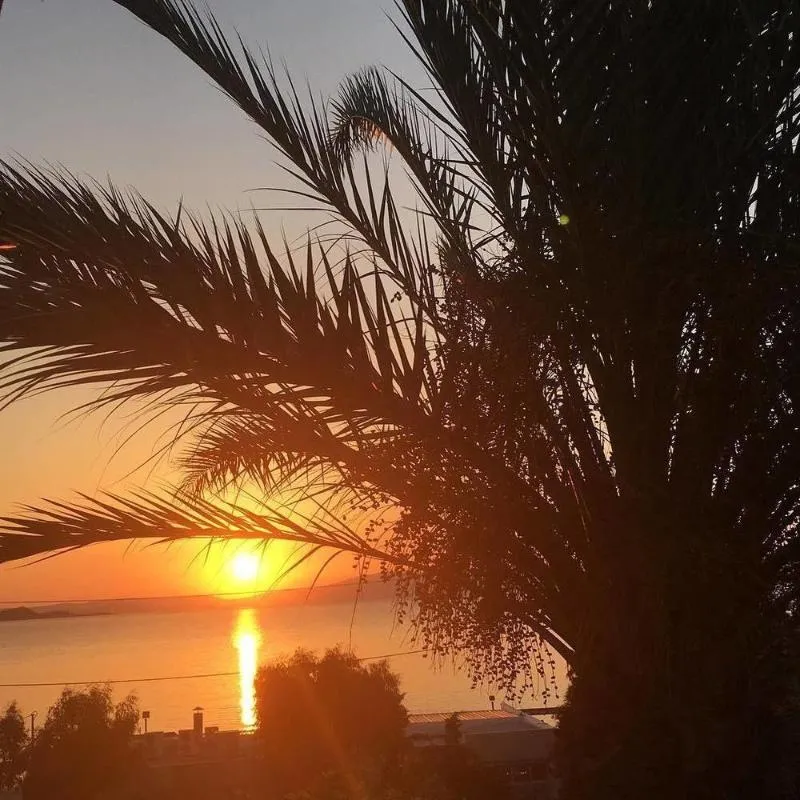 General view, Marathon Beach Resort, Athens