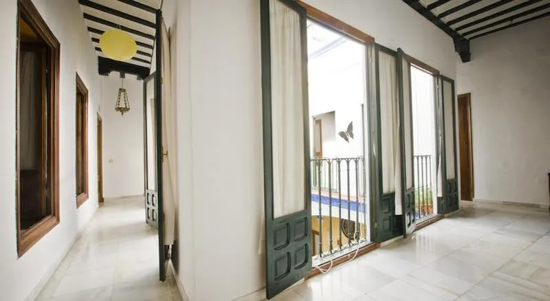 General view, Hostel Trotamundos, Seville
