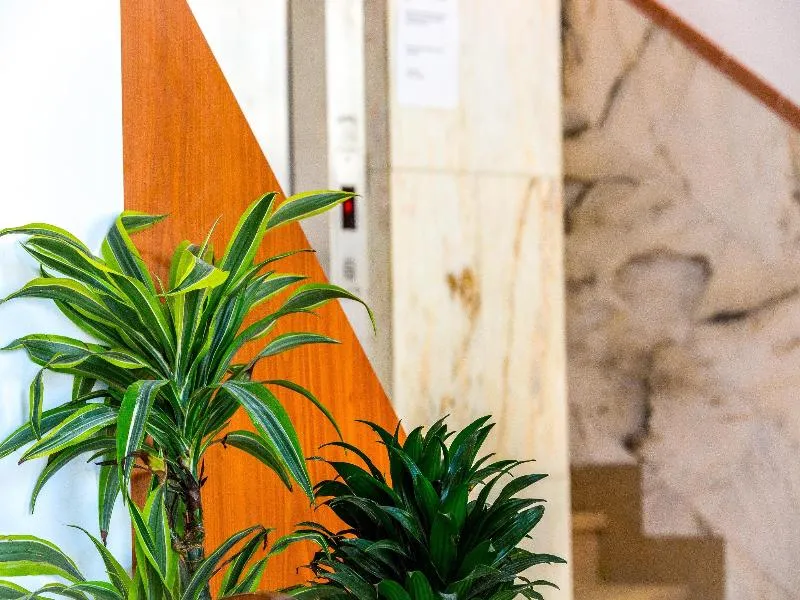 Lobby, Playas Paguera, Majorca