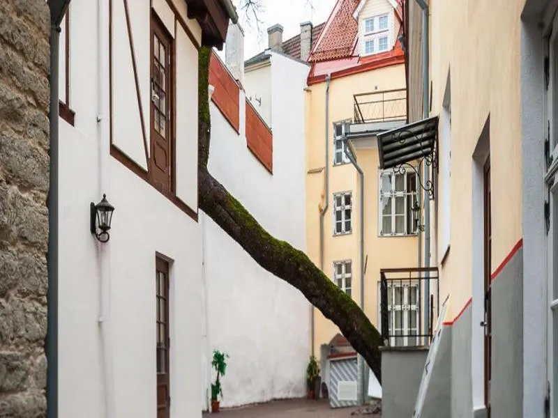 General view, Three Crowns Residence, Tallinn