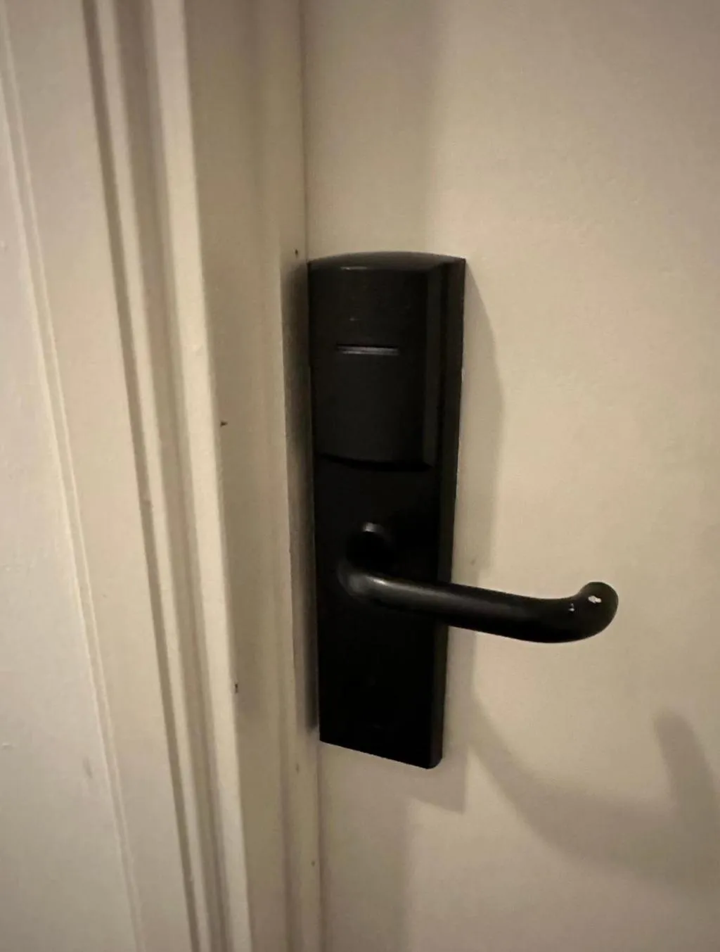 DOUBLE WITH SHARED BATHROOM Room, Budget Hotel Hortus, Amsterdam