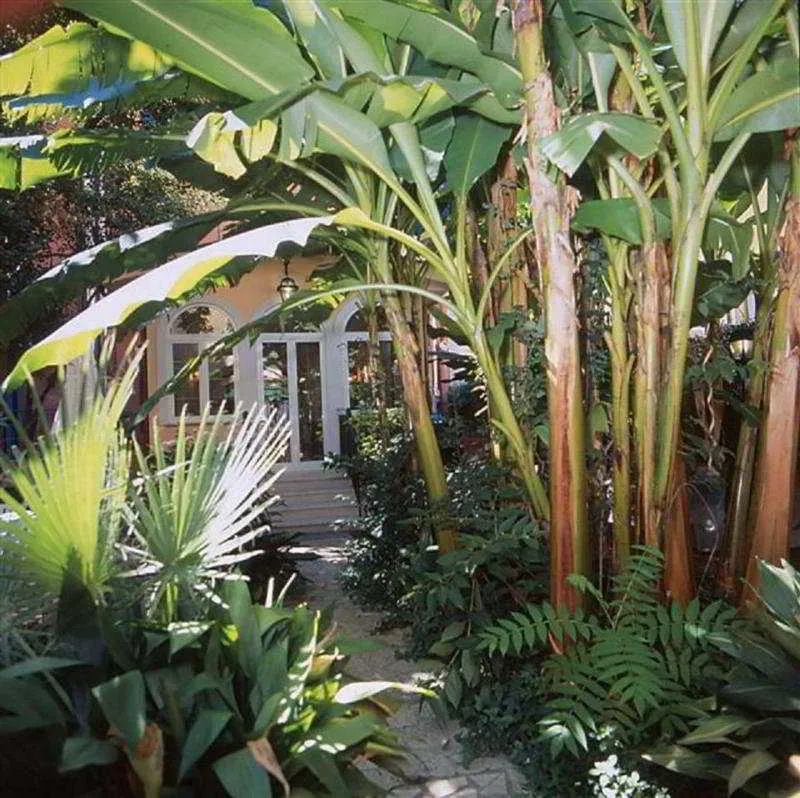 Terrace, Astoria Garden, Rome
