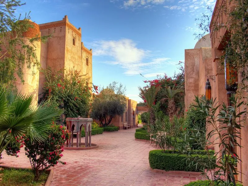 General view, Riad La Maison des Oliviers, Marrakech