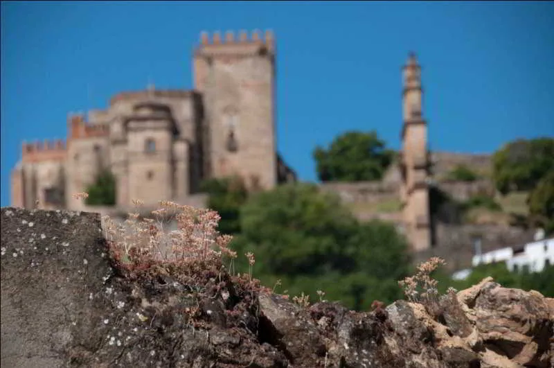 General view, Hospederia Reina De Los AÂngeles, Seville