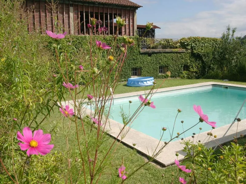 Pool, Casa Varzea, Porto