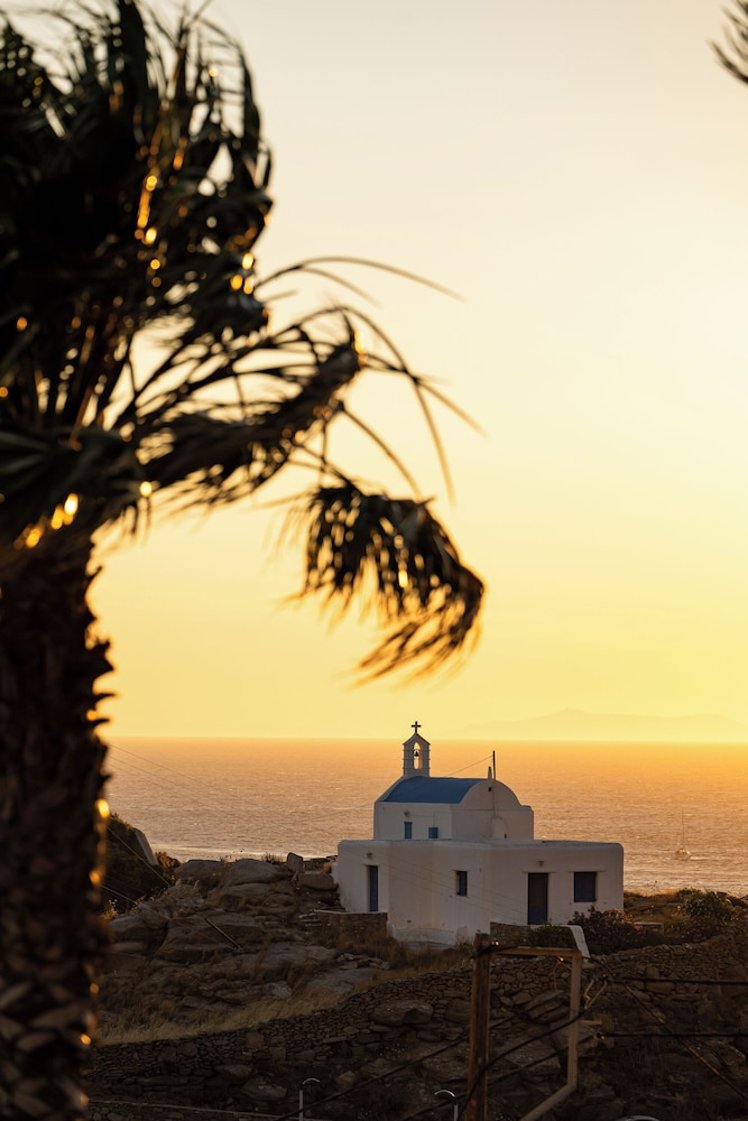 Arocaria, Mykonos