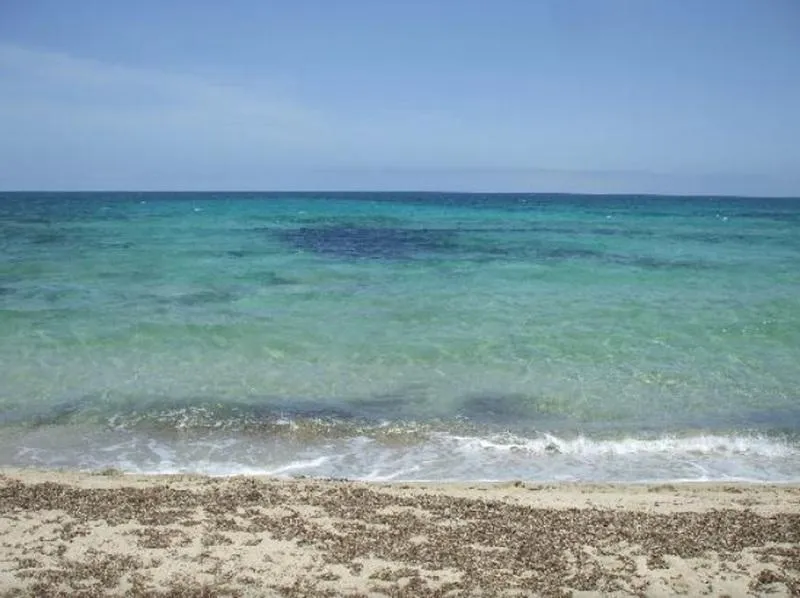 Beach, Stil Bonsai, Majorca