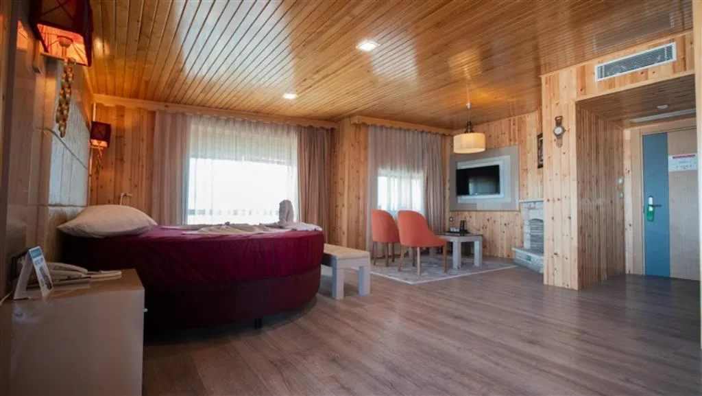 DOUBLE SINGLE USE Accessible-Queen Size Bed Room, Ci̇Ty Li̇Ve Hotel, Antalya