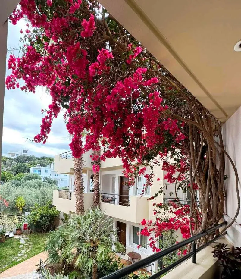 Terrace, Faedra Beach, Crete