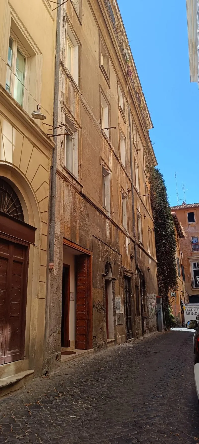 General view, Domus Ester, Rome