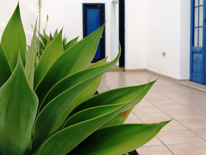 General view, Villas Puerto Rubicon, Lanzarote
