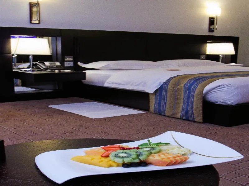 Room, Dubai International Terminal Hotel, Dubai