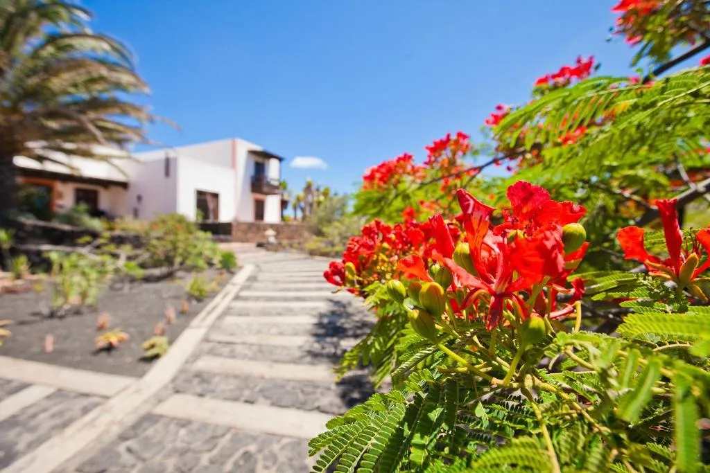General view, Casa el morro, Lanzarote