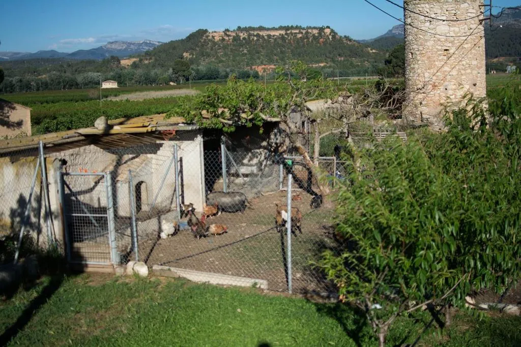 General view, Mas Taniet, Costa Dorada