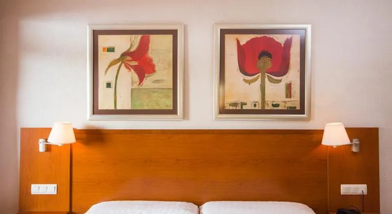 DOUBLE SINGLE USE STANDARD Room, Las Palmeras, Costa Del Sol