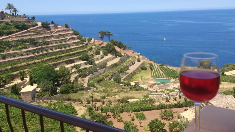Terrace, Baronia, Majorca