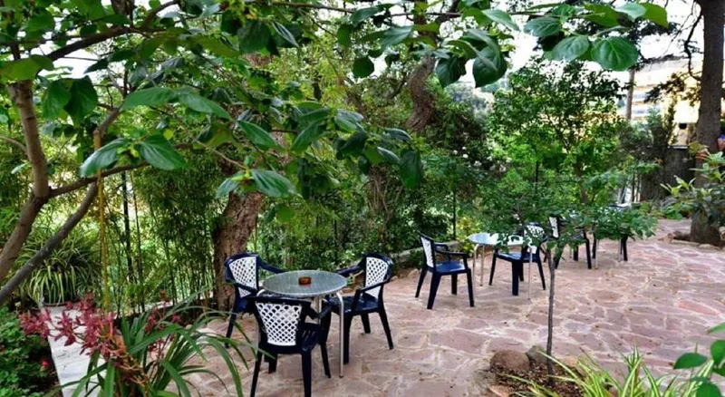 Terrace, Magnolia, Costa Brava