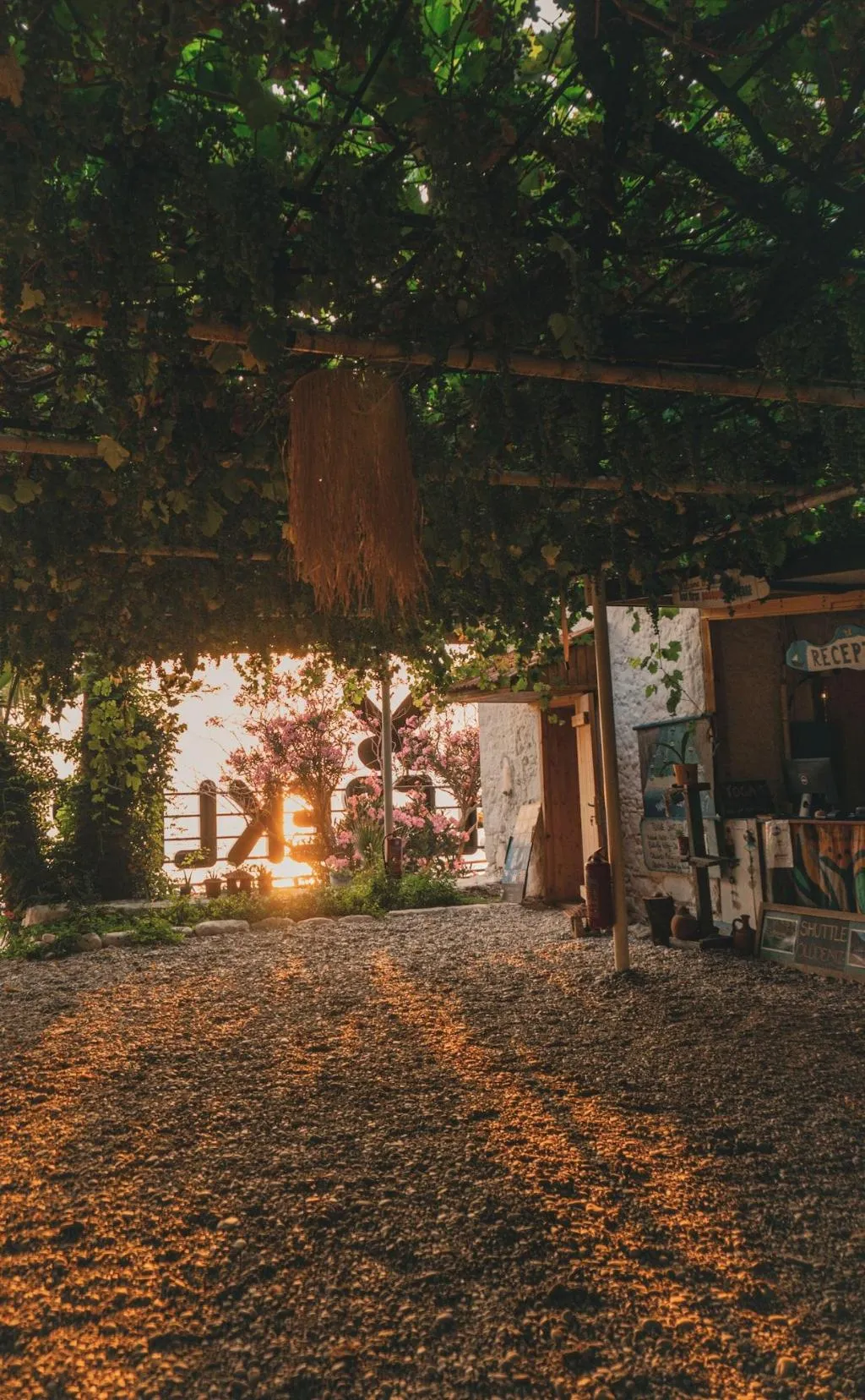 General view, Butterfly Valley Bungalov, Dalaman