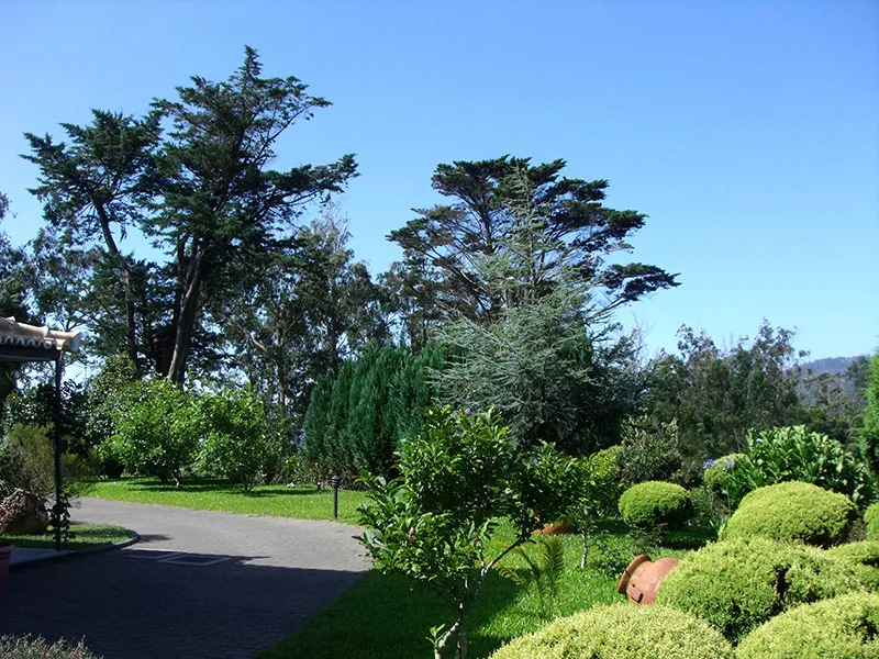 General view, Quinta da Cova do Milho, Madeira