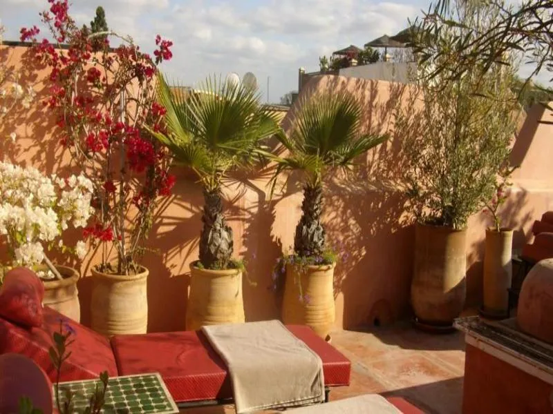 General view, Riad Aloes, Marrakech