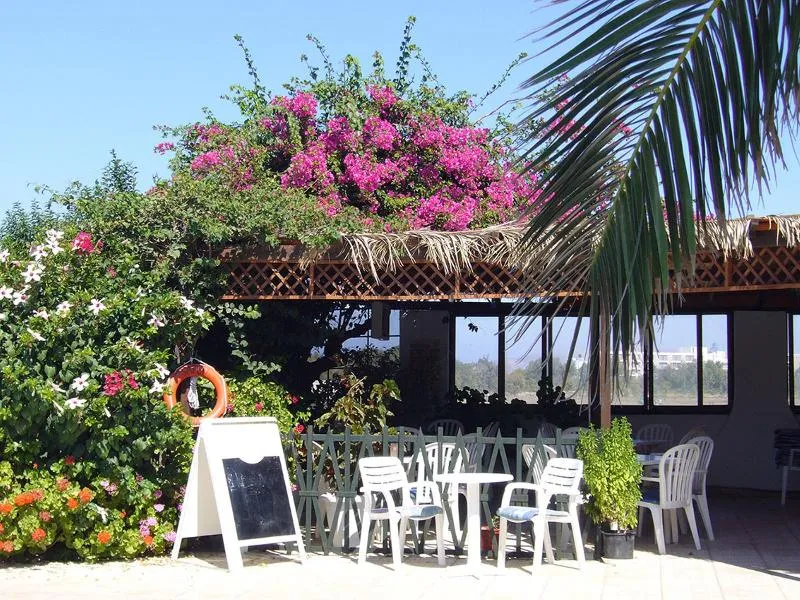 Restaurant, Nina Beach, Kos