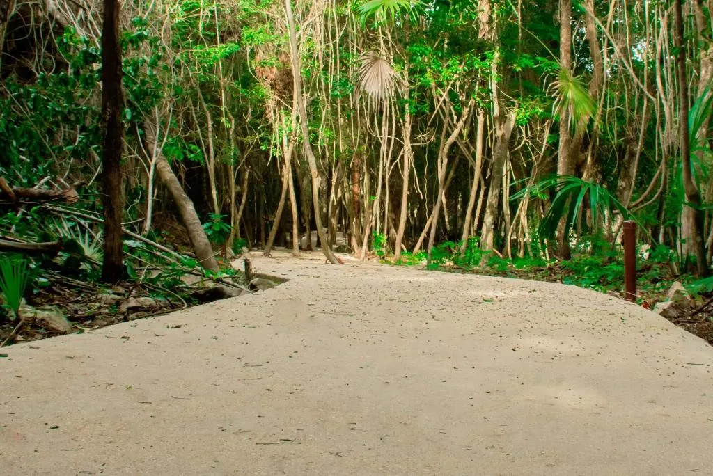 Sports and Entertainment, Hotel Cenotes Casa Tortuga, Cancun Area