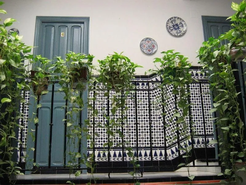 General view, Pension La Montorena, Seville