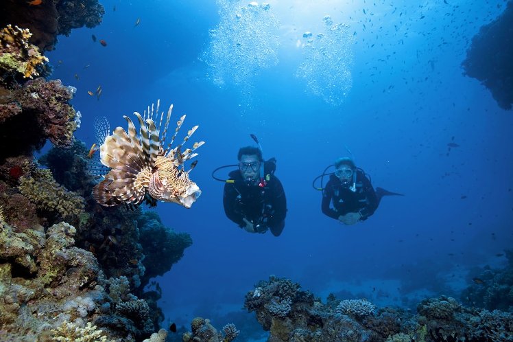 Turtles Inn, Red Sea Riviera