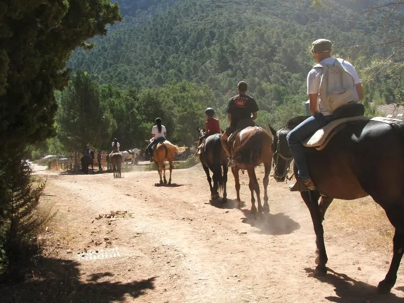 Sports and Entertainment, Campillo Apartamentos Rurales, Andalucia